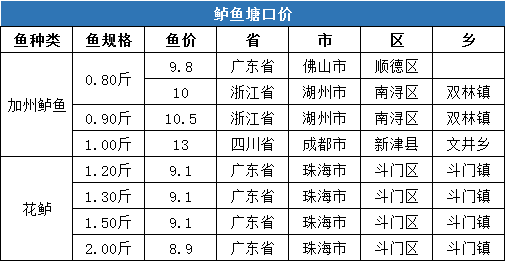 ***门一***一肖一特一中2024全攻略揭秘未来走势_独家分析10.061