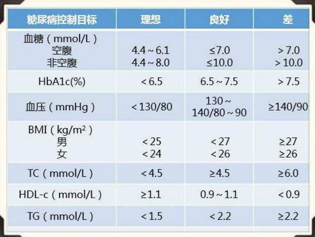 龙腾虎跃 第6页