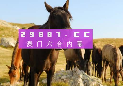 群龙无首 第6页