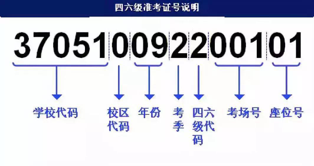 2024新奥*********109,海参十问十答全面解答_散婴QLK863.665