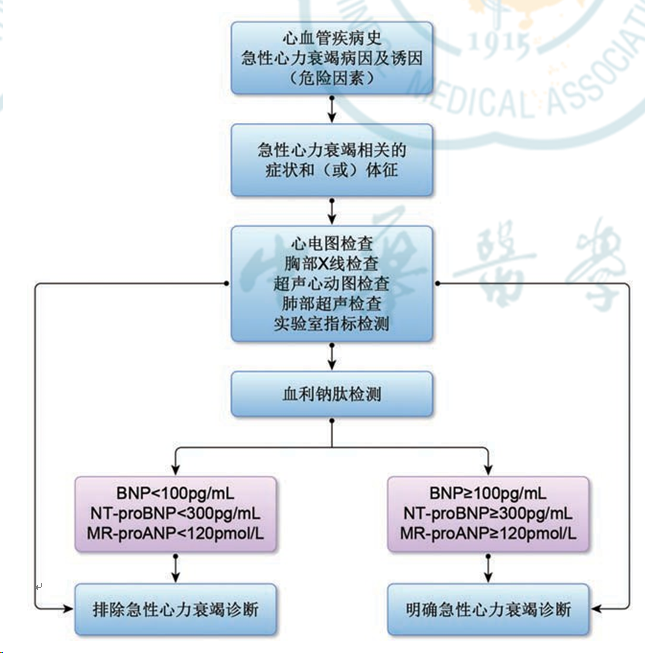 心脏病最新疗法详解，观点论述与解析