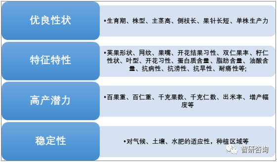 2024年开***记录回顾：WNU7.25.82穿戴版专业执行分析