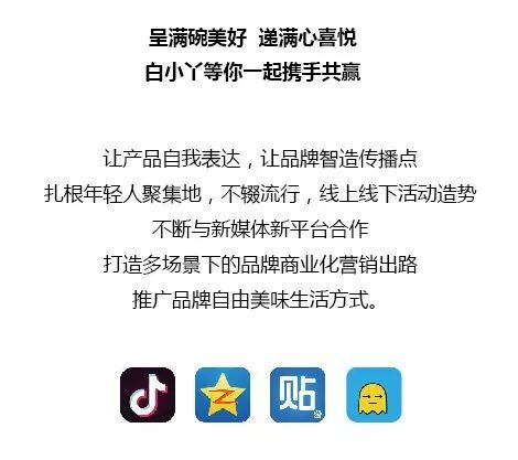 白***一肖一***100准,深入挖掘解释说明_YZY94.300任务版