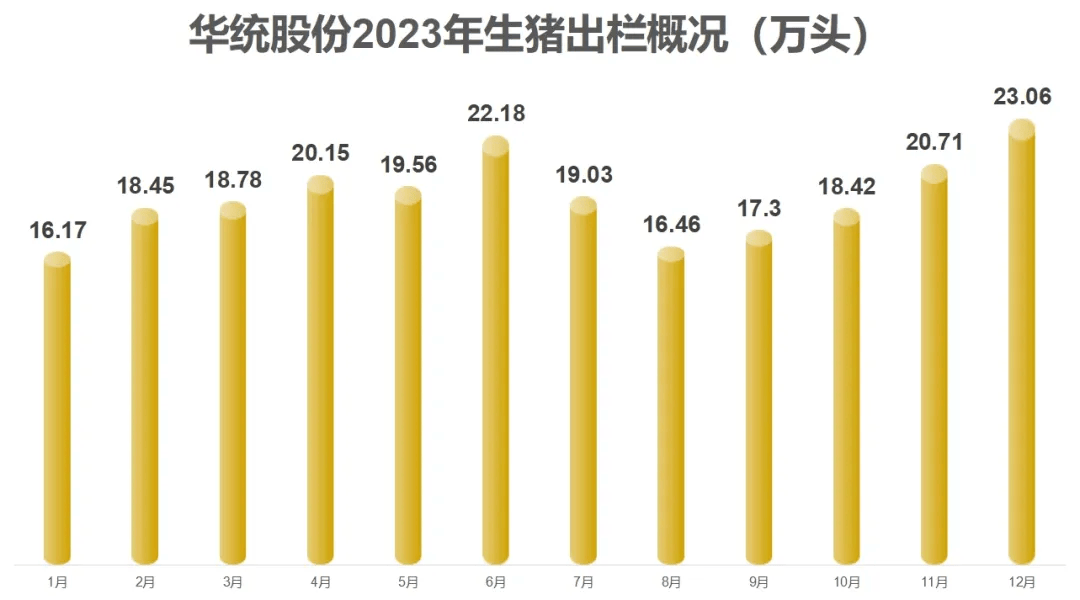 2024***六开***查询记录,数据整合解析计划_XOQ79.500硬核版