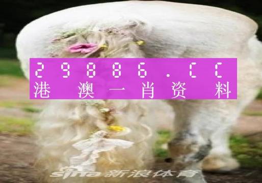 今晚四不像***中一肖图118,实用性解读策略_OME79.415透明版