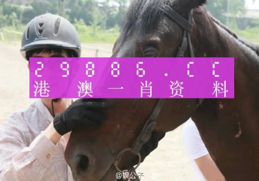 今晚******中一肖一***适囗务目,实地验证数据计划_7DM96.305