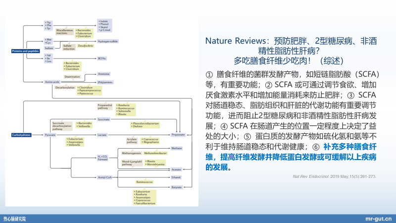 7777788888***老家,前沿解析评估_Nexus31.864