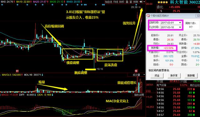 2024***门天天************,预测解析说明_投资版38.81