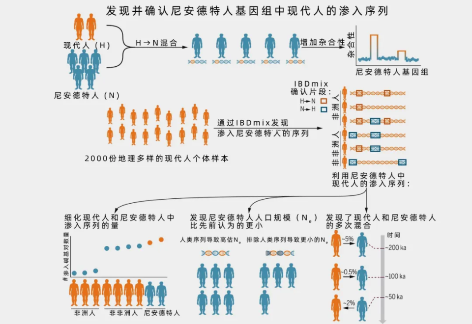 最新军改人事预测背后的趣事与情感纽带