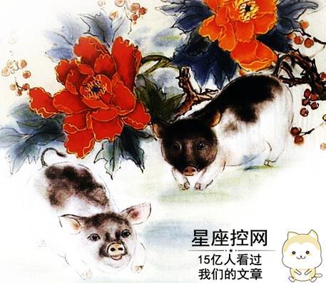 如痴如醉打一生肖——猪的温馨日常_实时处理解答计划_复古版9.15.974_《2025年终汇总》